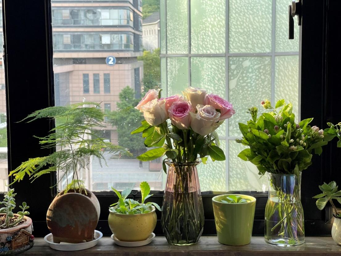 图片 1.png 图片 1.png